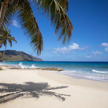 Carambola Beach Resort St. Croix, Us Virgin Islands Fountain Εξωτερικό φωτογραφία