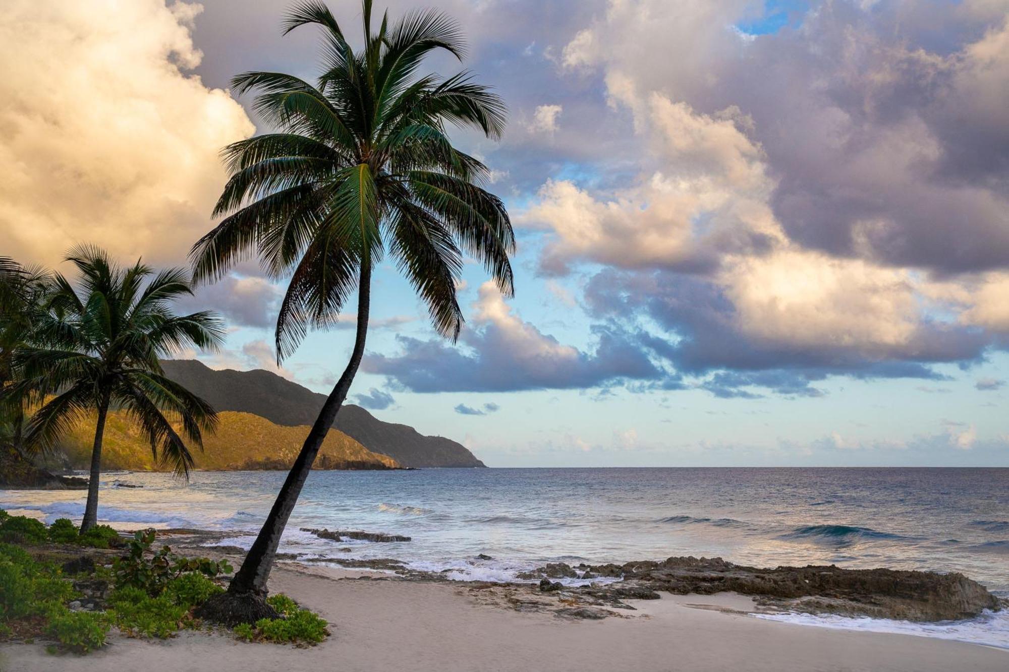 Carambola Beach Resort St. Croix, Us Virgin Islands Fountain Εξωτερικό φωτογραφία