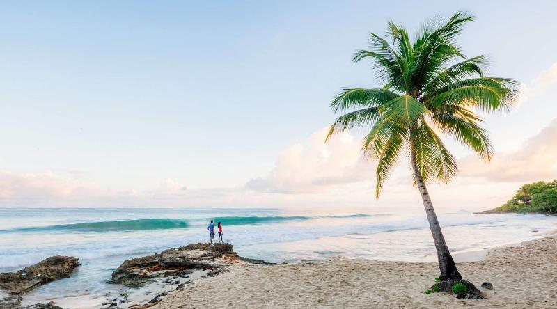 Carambola Beach Resort St. Croix, Us Virgin Islands Fountain Εξωτερικό φωτογραφία